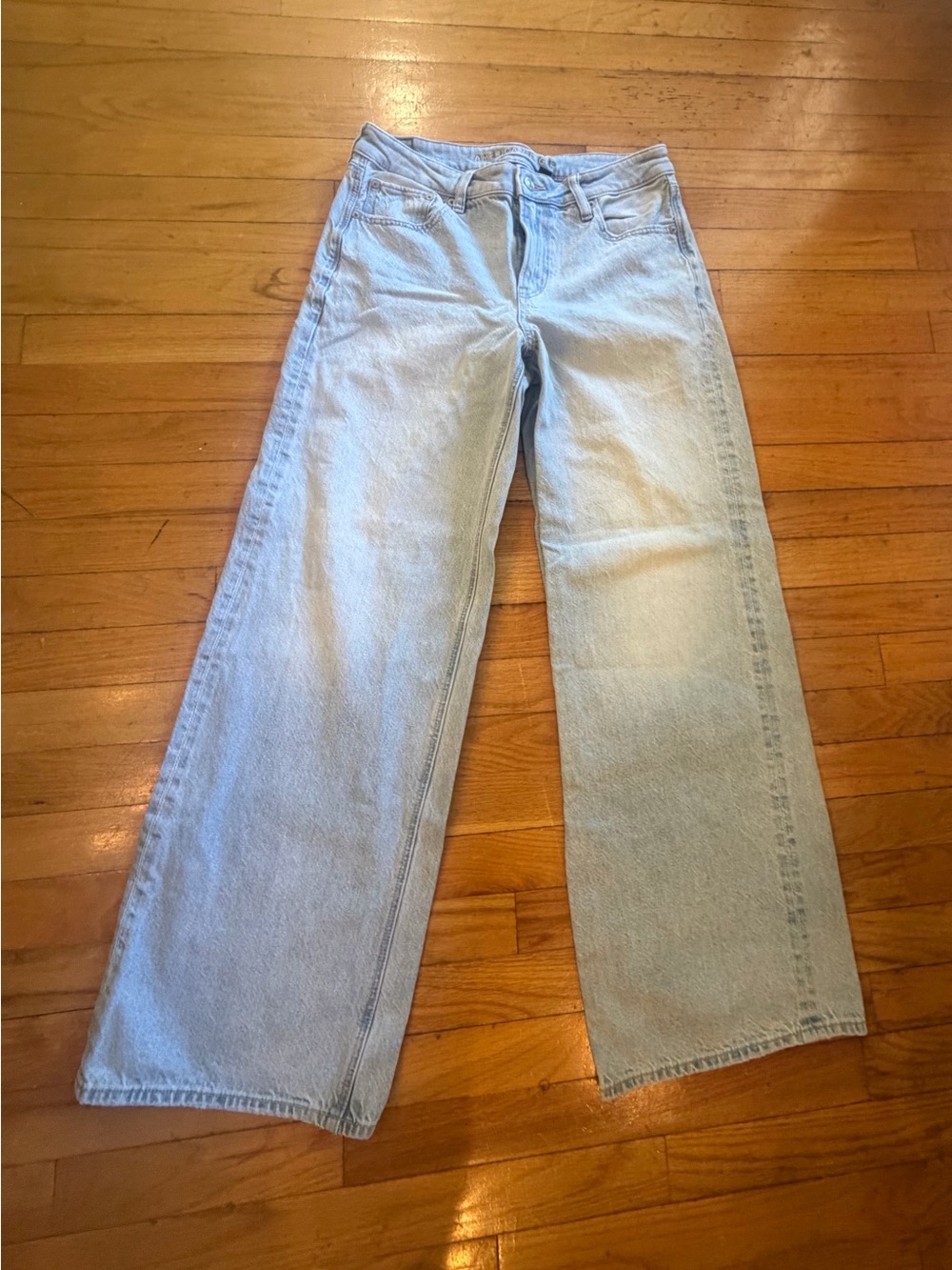 American Eagle Outfitters Light Wash Low Rise Baggy Wide Leg Denim Jeans size 6